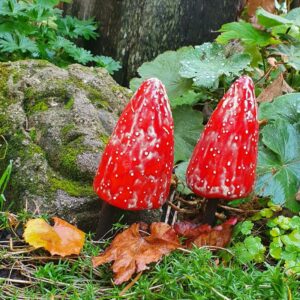 Handgemaakte paddenstoelen in een prachtig rode kleur geplaatst op stokken van een hazelaar.