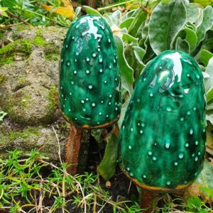 Handgemaakte paddenstoelen in een prachtig donker groene kleur geplaatst op stokken van een hazelaar.