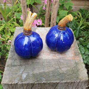 Handgemaakte seedpods van keramiek in een mooie donker blauwe kleur geglazuurd. Afgewerkt met een mooie bronskleurige band om de cognac kleurige steel. 