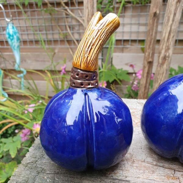 Handgemaakte seedpods van keramiek in een mooie donker blauwe kleur geglazuurd. Afgewerkt met een mooie bronskleurige band om de cognac kleurige steel. 